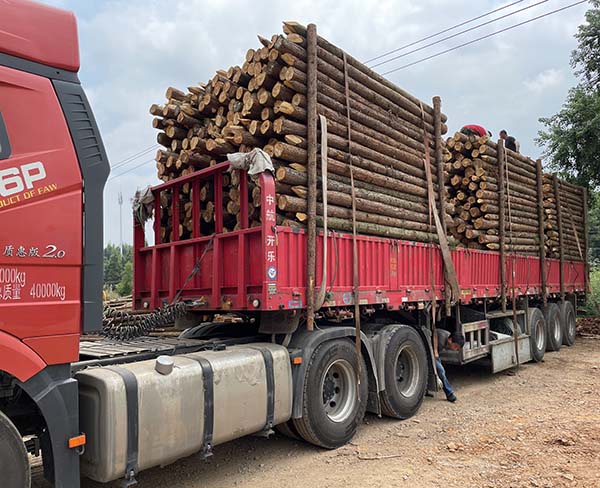 松木樁在土壤中的耐腐蝕性能如何？