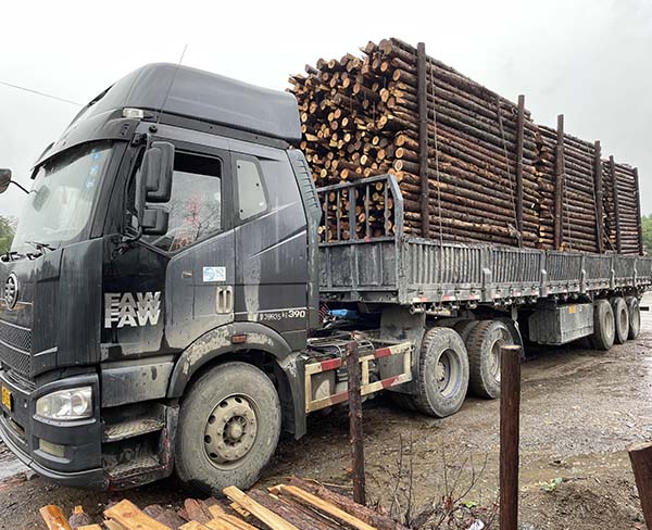 綠化支撐桿的采購(gòu)渠道有哪些，價(jià)格因素主要受什么影響？