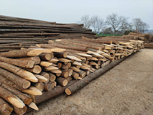 松木樁采購時(shí)如何辨別材質(zhì)好壞？