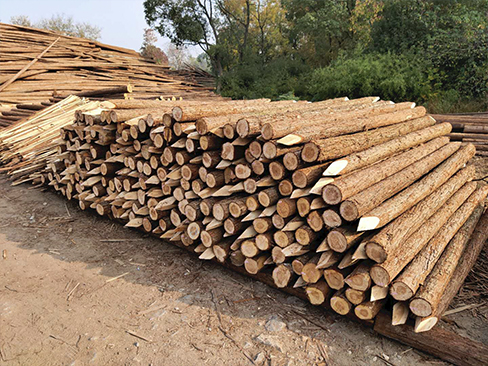 松木樁在運(yùn)輸中如何固定？