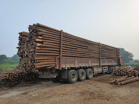 河道木樁的采購渠道有哪些，價格因素主要受什么影響？