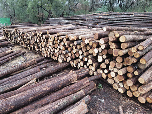 綠化支撐桿長期使用后，是否會出現(xiàn)變形或開裂？