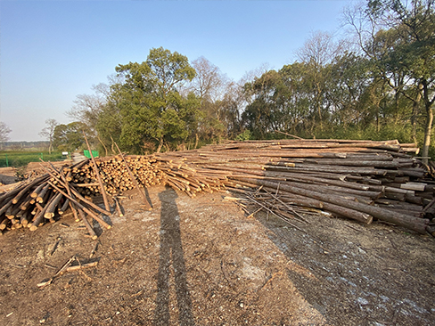 綠化支撐桿與竹樁、木塑樁等材料的性能對比？