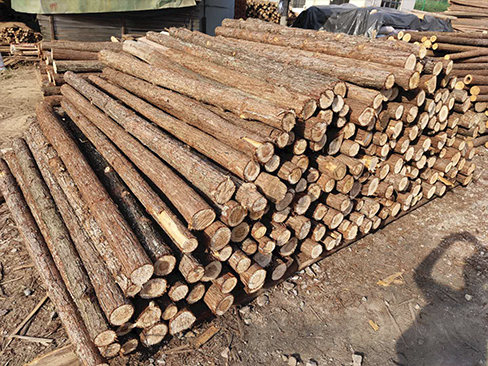 綠化支撐桿在河道治理工程中的具體應(yīng)用？