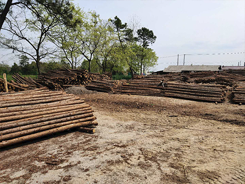 松木樁的長度一般能定制到多長？