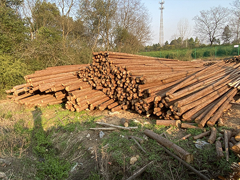 杉木樁與其他材料的連接方式有哪些？