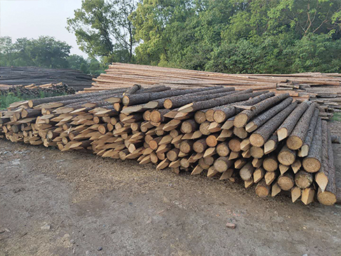 杉木樁的規(guī)格標準化對工程質(zhì)量的影響？