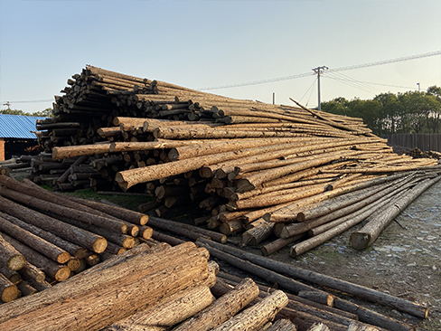 松木樁長期使用后，是否會(huì)出現(xiàn)變形或開裂？