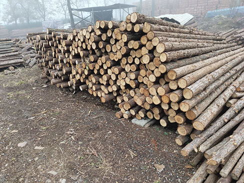 圓木樁雨水對其長期影響及防護(hù)措施是什么？