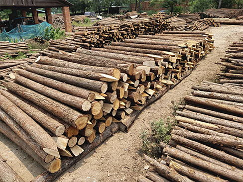 圓木樁的密度對其承載性能有何影響？