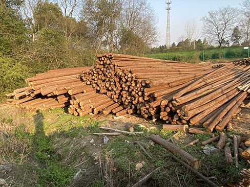 原木樁雨水對(duì)其長期影響及防護(hù)措施是什么？