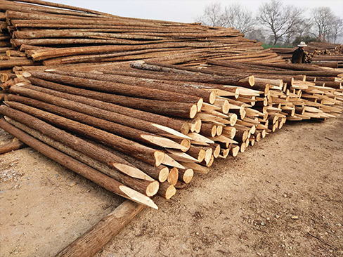 圓木樁與鋼筋混凝土樁的組合使用優(yōu)勢(shì)？