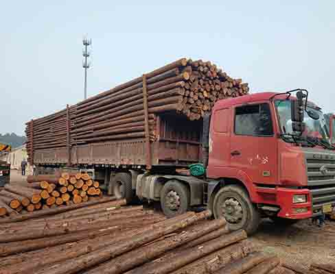 河道木樁的來源是否可持續(xù)？