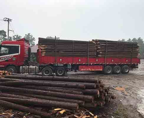 觀景木樁在園林景觀設(shè)計中有哪些應(yīng)用？