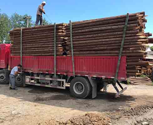 駁岸木樁的使用壽命一般是多久？