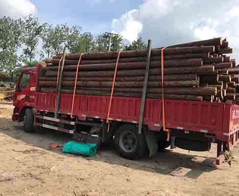 觀景木樁的密度對其承載性能有何影響？