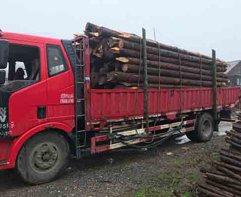 綠化支撐桿的長(zhǎng)度一般能定制到多長(zhǎng)？