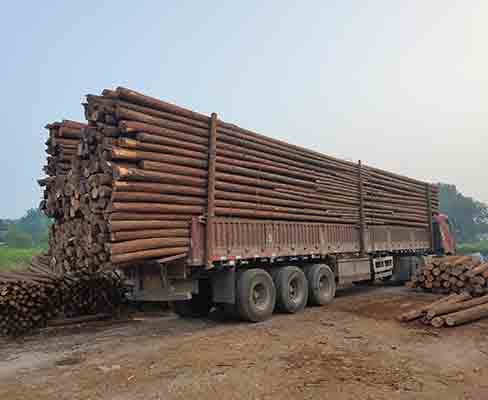 觀景木樁如何選擇適合工程需求的直徑和長(zhǎng)度？