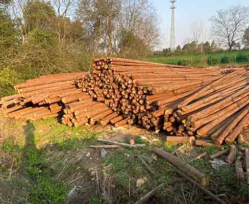 打樁木防腐處理需要多長(zhǎng)時(shí)間？