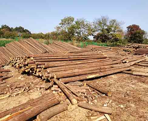 觀景木樁的環(huán)保性能如何，對環(huán)境有無負(fù)面影響？