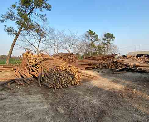 觀景木樁在農(nóng)業(yè)領(lǐng)域的應用，如溫室支撐等。