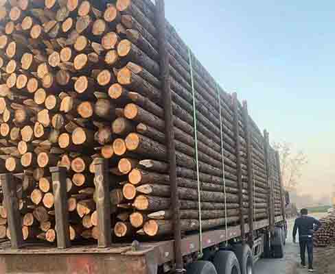 駁岸木樁如何根據(jù)土壤條件調(diào)整打入深度？