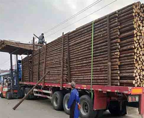 駁岸木樁在寒冷地區(qū)使用的適應(yīng)性及保護措施？