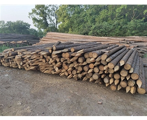 支撐桿的蟲蛀情況如何檢查？