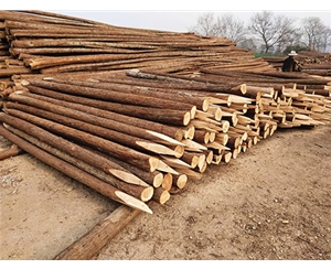 河道木樁不同季節(jié)對存儲(chǔ)有何影響？