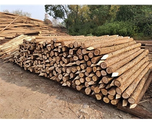 支撐桿的質(zhì)量等級(jí)劃分標(biāo)準(zhǔn)是什么？