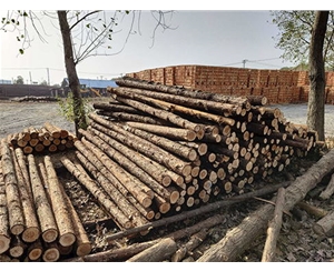 支撐桿不同防腐處理方法成本差異大嗎？