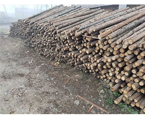 支撐桿使用是否符合綠色建筑標(biāo)準(zhǔn)？