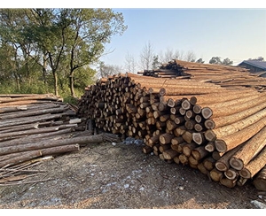 河道木樁的耐腐蝕性怎樣？