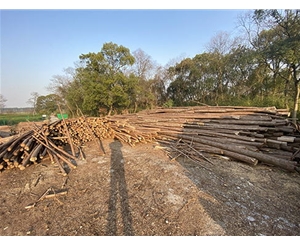 河道木樁運(yùn)輸過程中如何防止損壞？