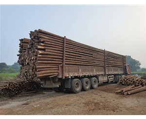 支撐桿存儲(chǔ)期間需要定期檢查嗎？