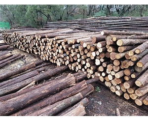 支撐桿使用過程中如何定期維護(hù)？