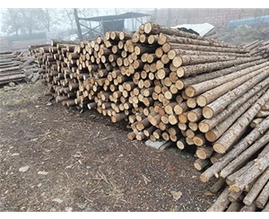 河道木樁存儲(chǔ)時(shí)間過(guò)長(zhǎng)會(huì)有什么影響？