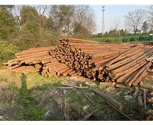 支撐桿常見的防腐處理方法有哪些？