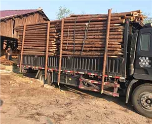 觀景木樁施工的打樁設(shè)備有哪些？