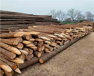 觀景木樁的堆放高度有限制嗎？