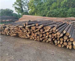 觀景木樁的含水率多少算合適？