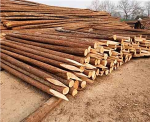 駁岸木樁防腐處理對環(huán)境有影響嗎？