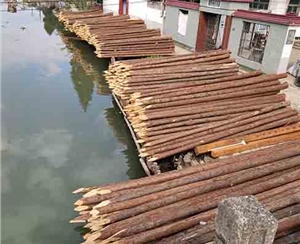 觀景木樁斷裂后能修復(fù)嗎？