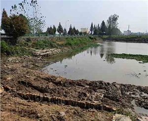 駁岸木樁維護(hù)的周期是多久？