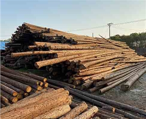 觀景木樁不同防腐處理方法成本差異大嗎？