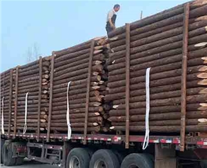 駁岸木樁的木質密度一般是多少？